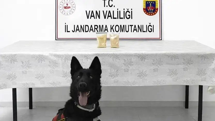 Van'da İranlı şahıstan 510 gram eroin çıktı
