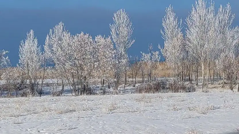 Van'da Sibirya soğukları hayatı olumsuz etkiliyor