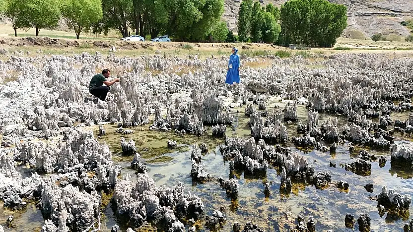 Van Gölü kıyıları mikrobiyalit tarlasına döndü
