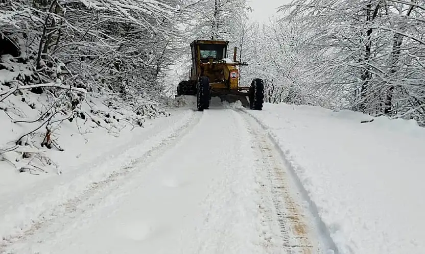 Kar Van'ı yeniden esir aldı! 143 yol ulaşıma kapandı