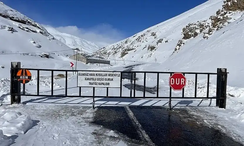 Van-Bahçesaray kara yolu kar ve tipi nedeniyle ulaşıma kapatıldı