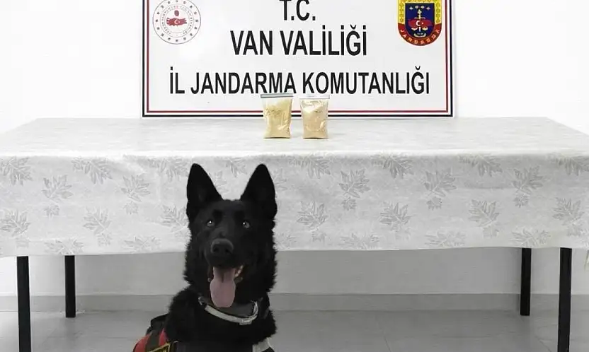 Van'da İranlı şahıstan 510 gram eroin çıktı