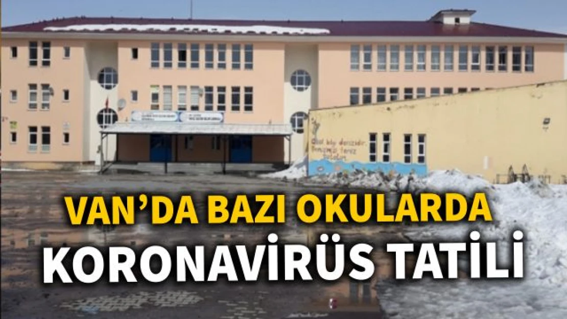 Van'da bazı okullarda vakalarının tespit edilmesi üzerine 4 okulda eğitim öğretime ara verildi