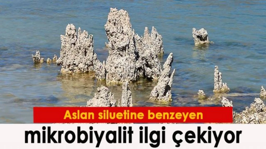 Aslan siluetine benzeyen mikrobiyalit ilgi çekiyor