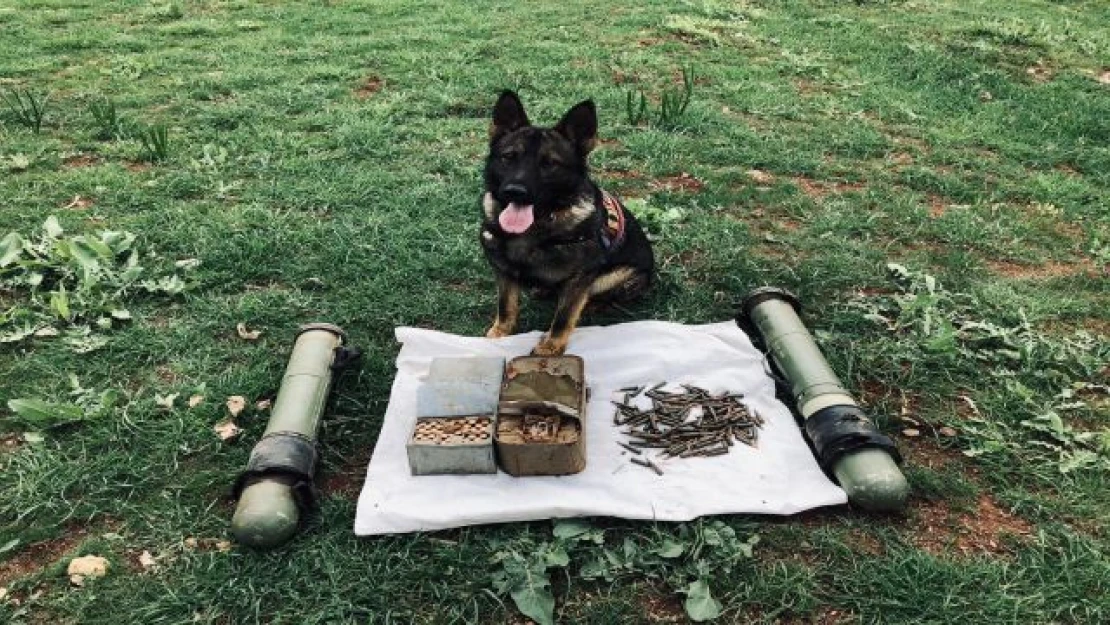 Çatak'ta antitank roketatar mühimmatı ve mermi ele geçirildi