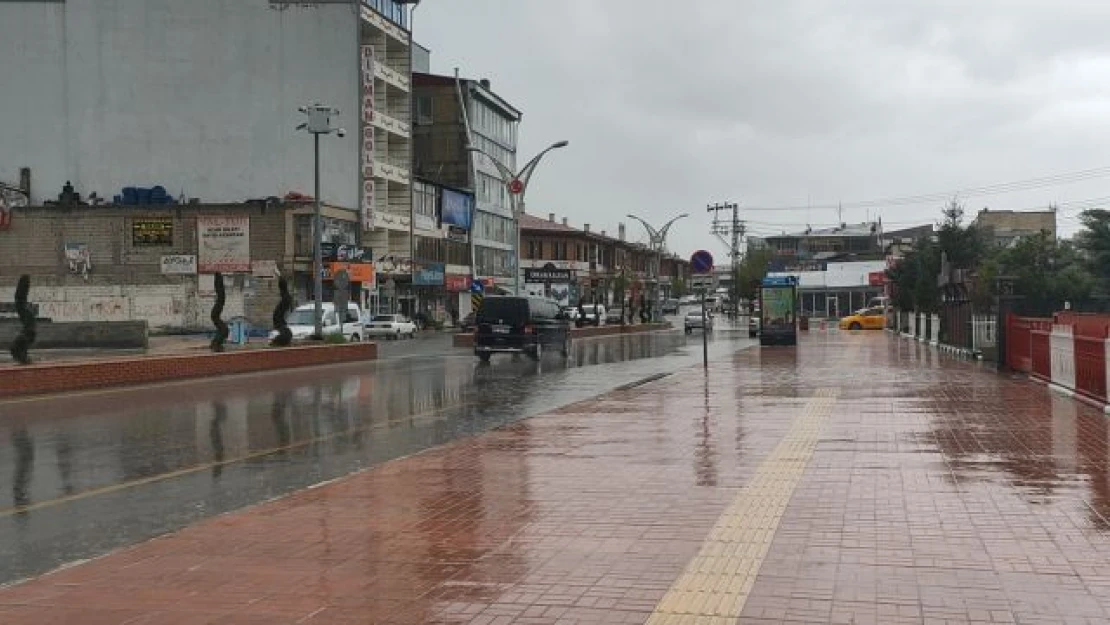 Erciş'te yağmur çiftçinin yüzünü güldürdü