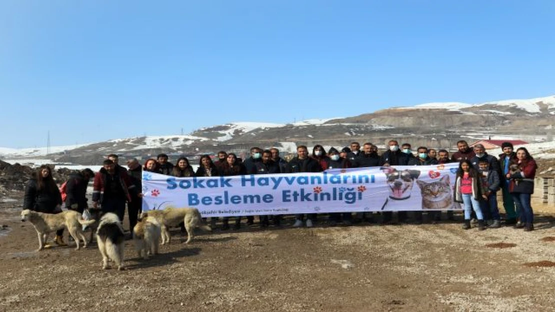 BÜYÜKŞEHİR, SOKAK HAYVANLARI İÇİN BESLEME ETKİNLİĞİ DÜZENLEDİ