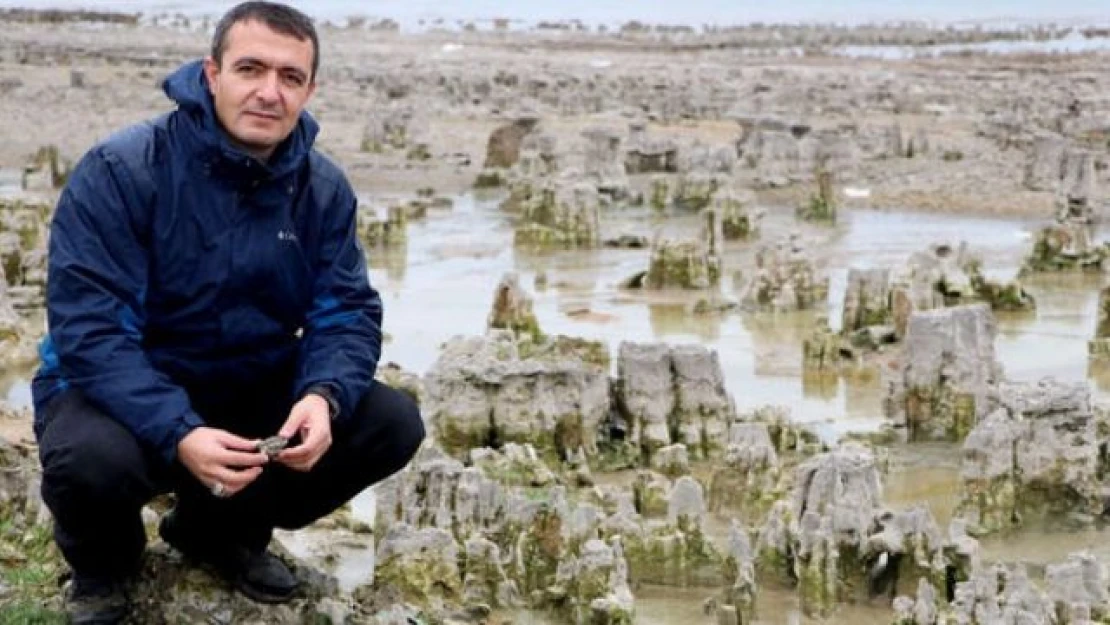 Van Gölü'nün çekilmesiyle 'mikrobiyalit tarlası' ortaya çıktı