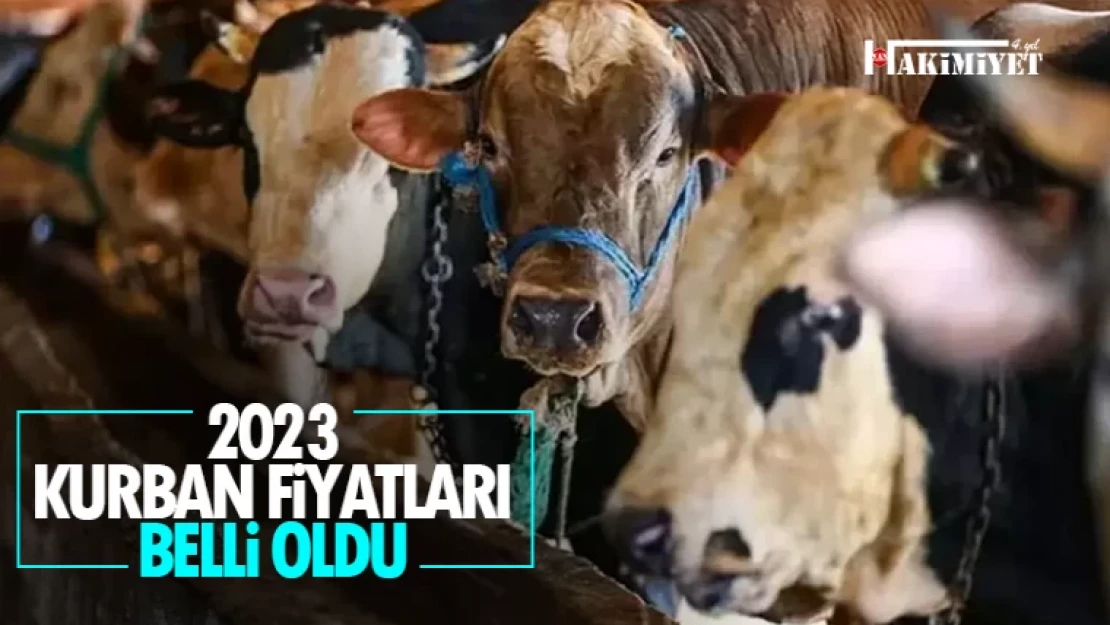 2023 yılı kurban fiyatları belli oldu