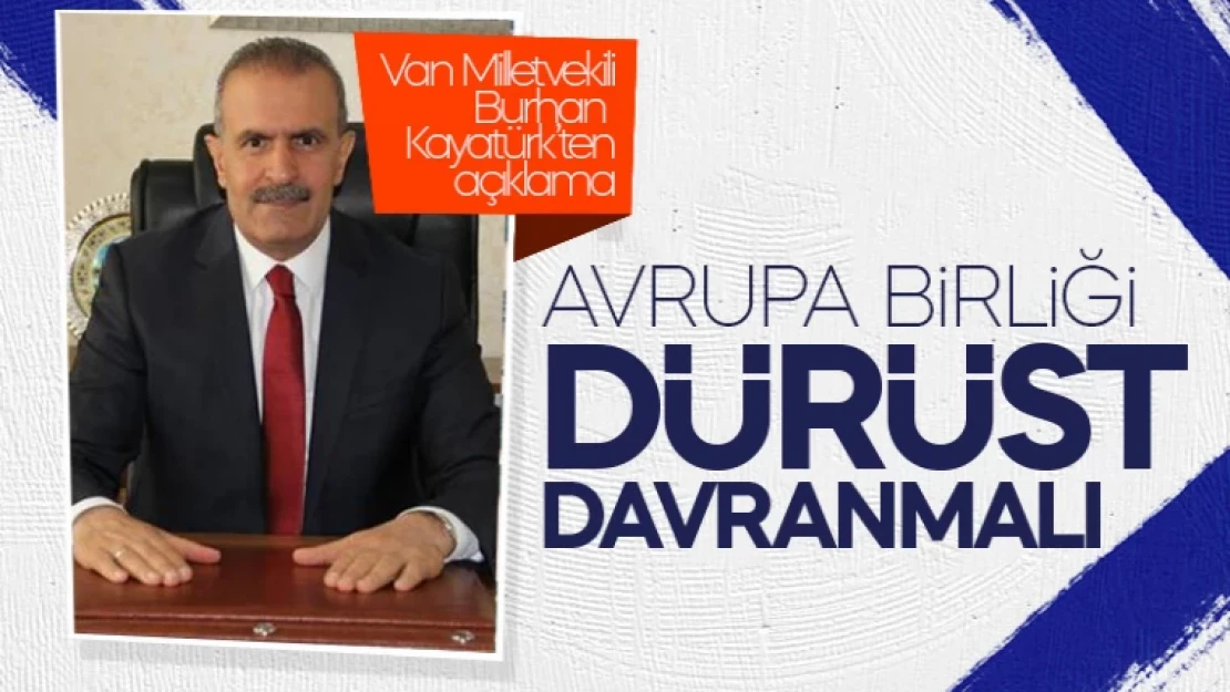 Van Milletvekili Burhan Kayatürk'ten AB açıklaması!