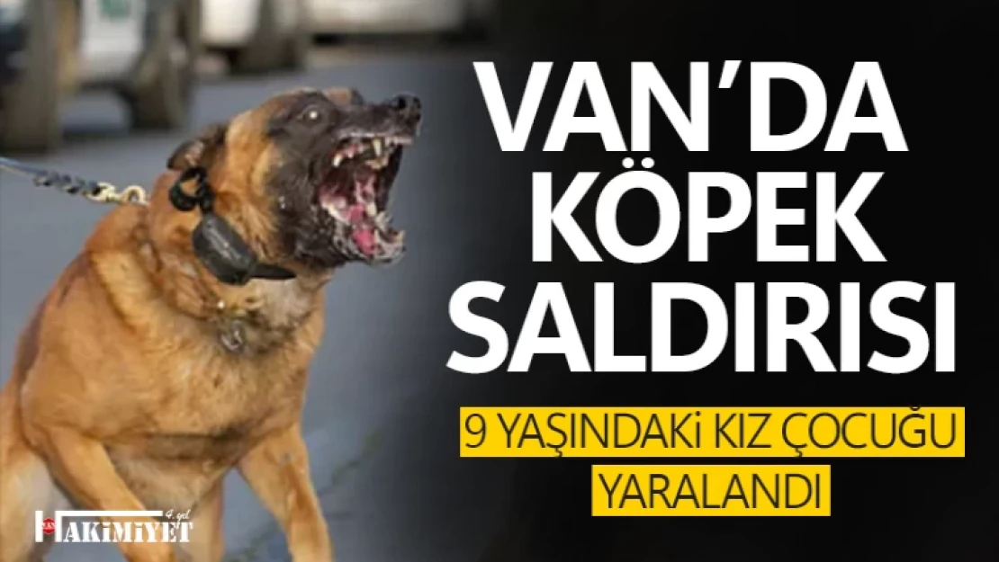 Van'da köpek saldırısına uğrayan 9 yaşındaki çocuk yaralandı