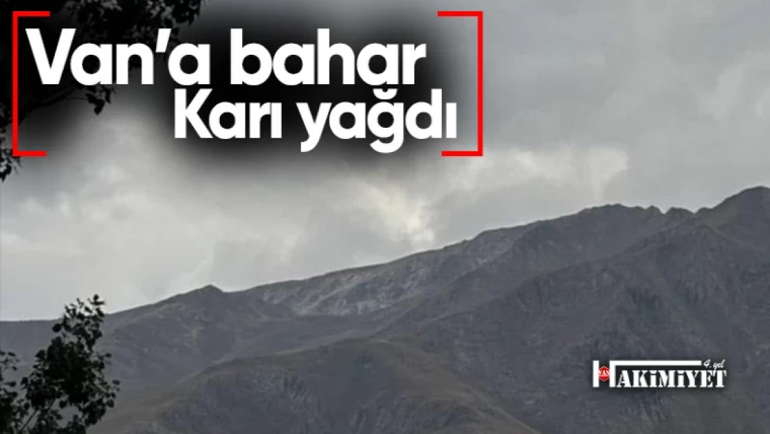 Van'a 'bahar' karı yağdı