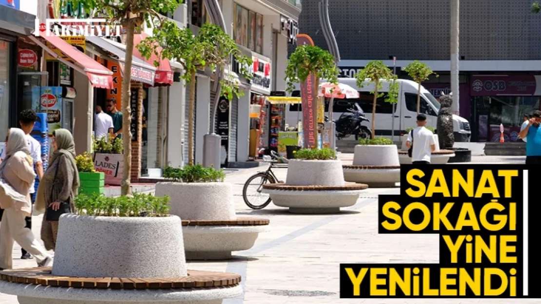 Van'da Sanat Sokağı yeni imajına kavuştu