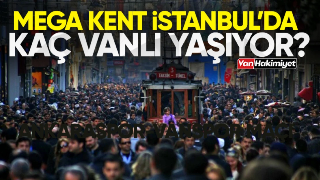 İstanbul'da kaç Vanlı yaşıyor? TÜİK son verileri açıkladı