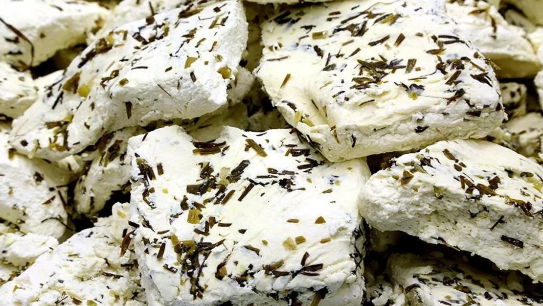 Otlu peynire lezzet katan kekik türleri koruma altında