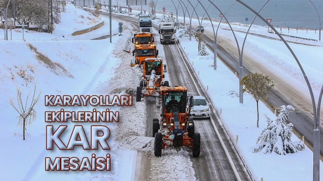 Van'da kar mesaisi başladı