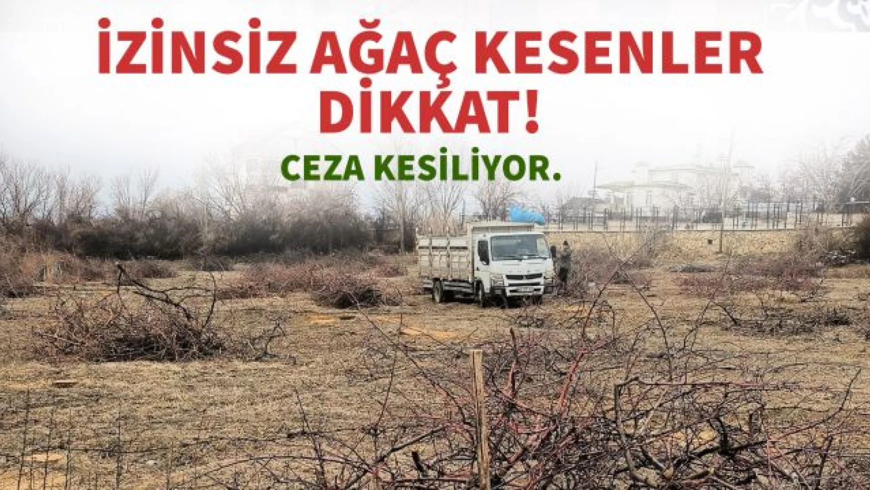 Edremit Belediyesi'nden izinsiz ağaç kesenlere ceza!