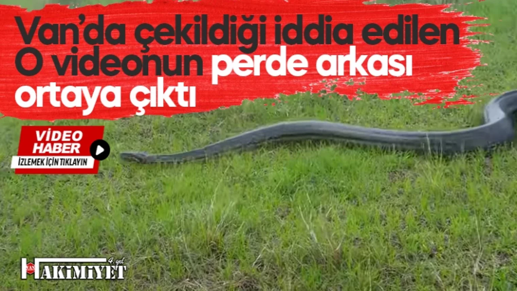 Van'da dev piton yılanı videosunun perde arkası ortaya çıktı