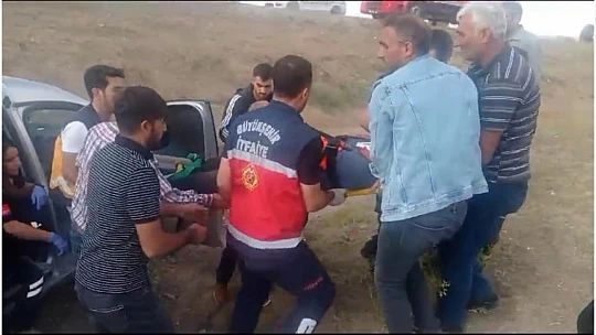 Özalp ilçesinde kamyonet şarampole devrildi: 5 yaralı