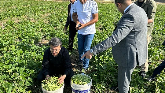 Gevaş Belediyesi tarım ürünlerini ihtiyaç sahiplerine ulaştırıyor
