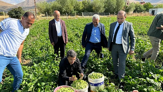 Gevaş Belediyesi tarım ürünlerini ihtiyaç sahiplerine ulaştırıyor