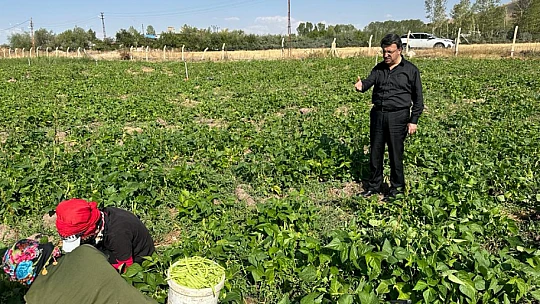 Gevaş Belediyesi tarım ürünlerini ihtiyaç sahiplerine ulaştırıyor