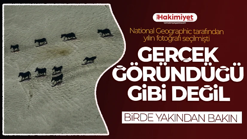 National Geographic yılın fotoğrafı ... Göründüğü gibi değil!