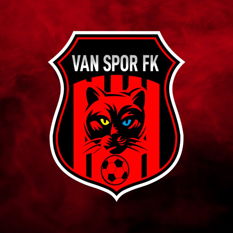 Vanspor FK Logosu Değişiyor! İşte Aday Logo...